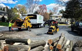 How Our Tree Care Process Works  in Keystone Heights, FL